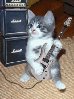 Funny Wallpapers 0100